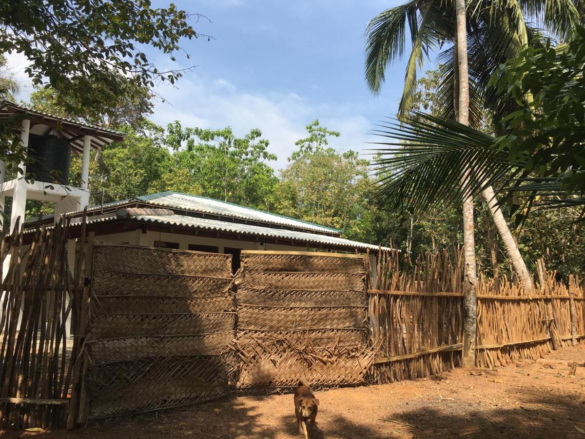 Cashew Villa Hiriketiya ディックウェラ エクステリア 写真