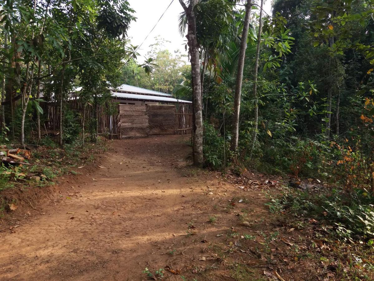 Cashew Villa Hiriketiya ディックウェラ エクステリア 写真