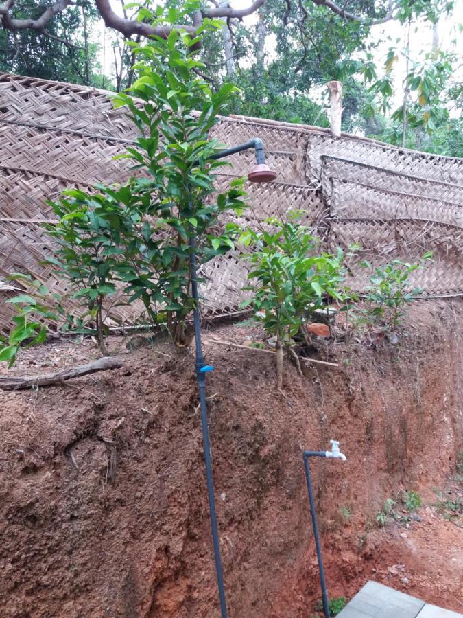 Cashew Villa Hiriketiya ディックウェラ エクステリア 写真