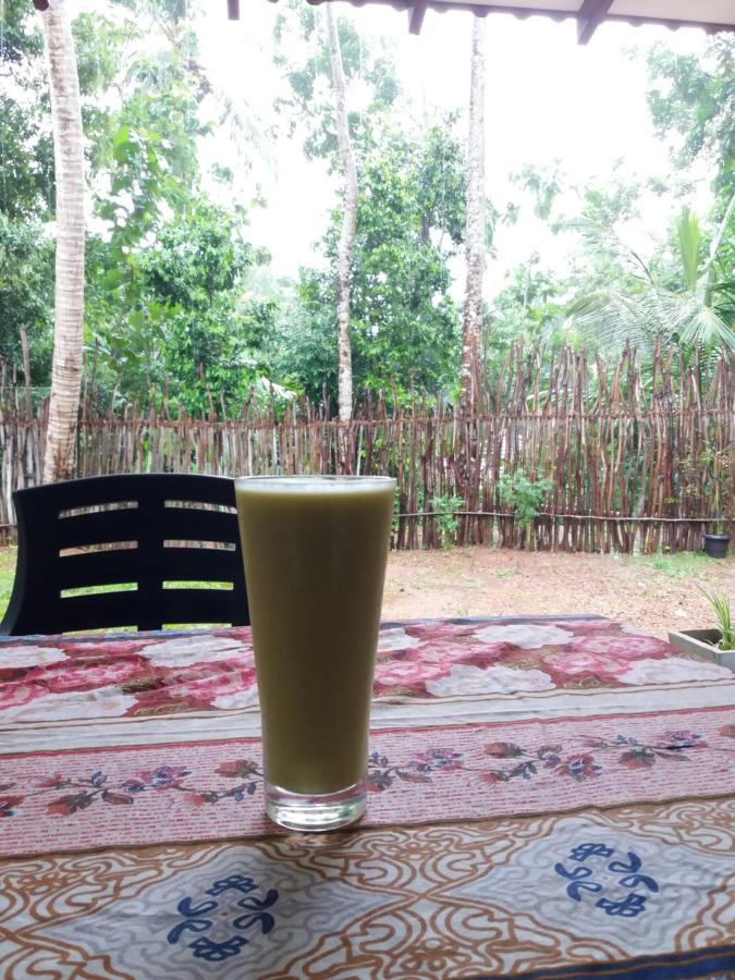 Cashew Villa Hiriketiya ディックウェラ エクステリア 写真
