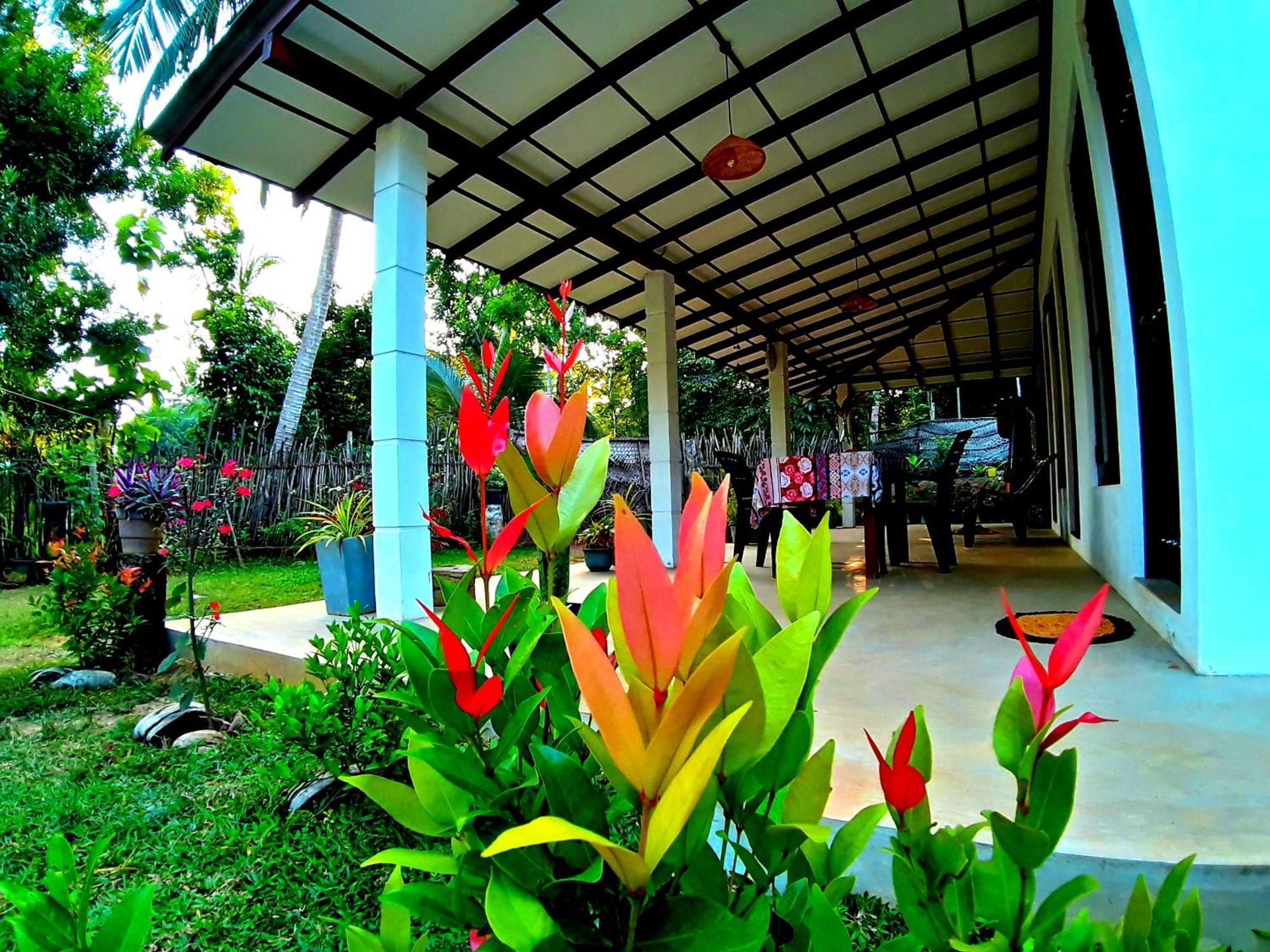 Cashew Villa Hiriketiya ディックウェラ エクステリア 写真