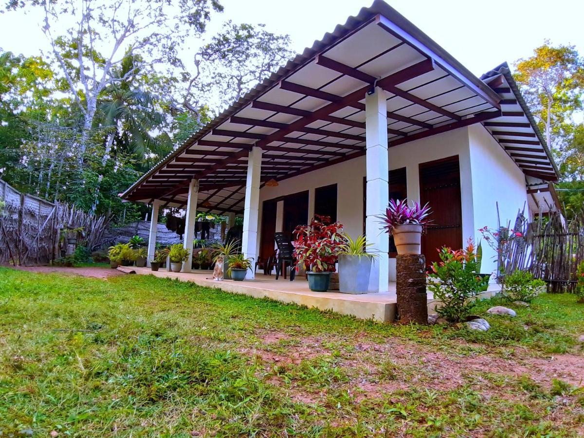Cashew Villa Hiriketiya ディックウェラ エクステリア 写真