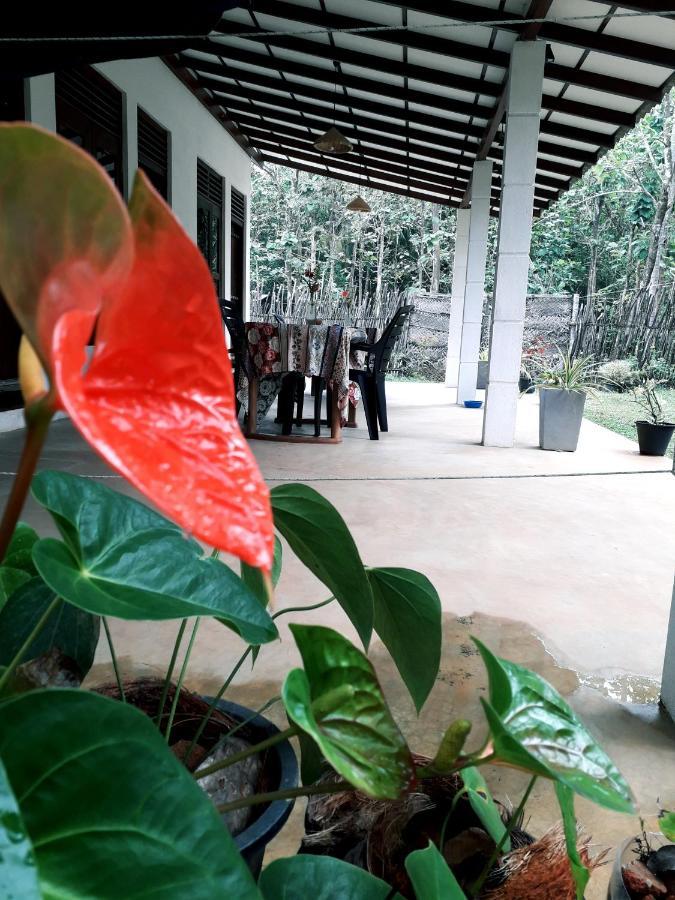 Cashew Villa Hiriketiya ディックウェラ エクステリア 写真