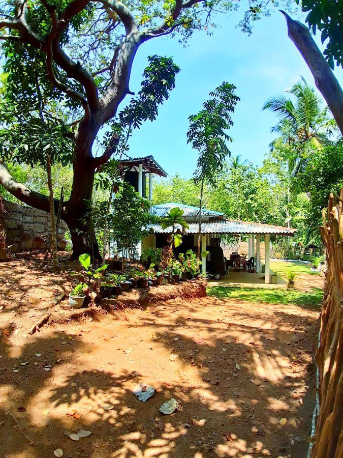 Cashew Villa Hiriketiya ディックウェラ エクステリア 写真